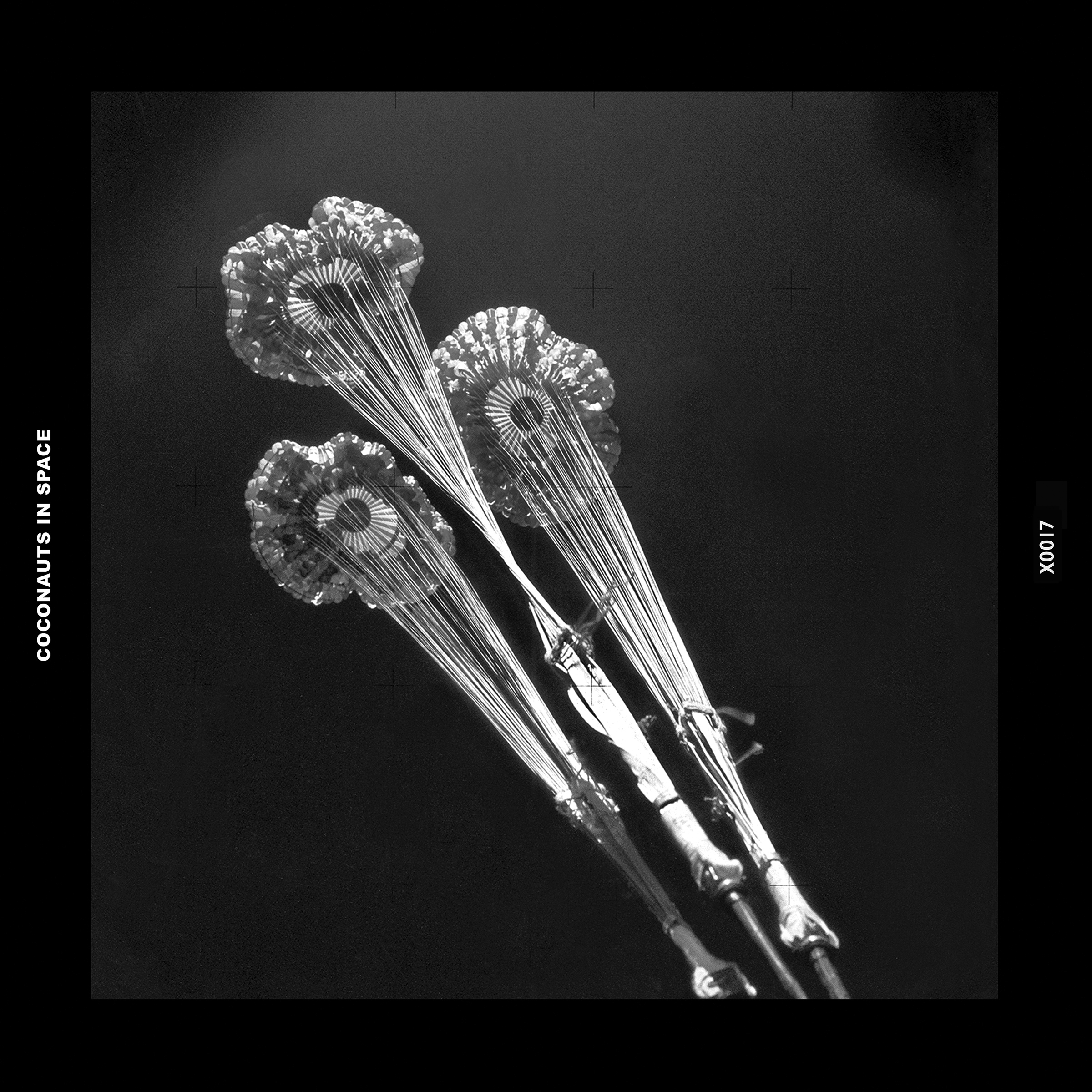 17.%20Coconauts%20in%20Space_Teo